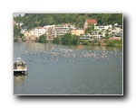 Klicken zum Vergrern